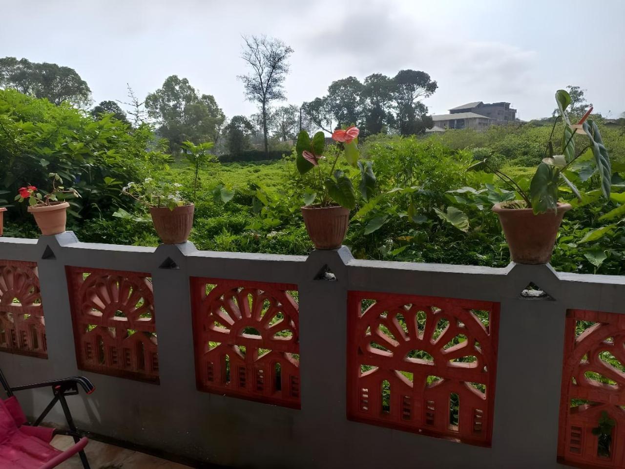Misty Haven Homestay Madikeri Eksteriør bilde