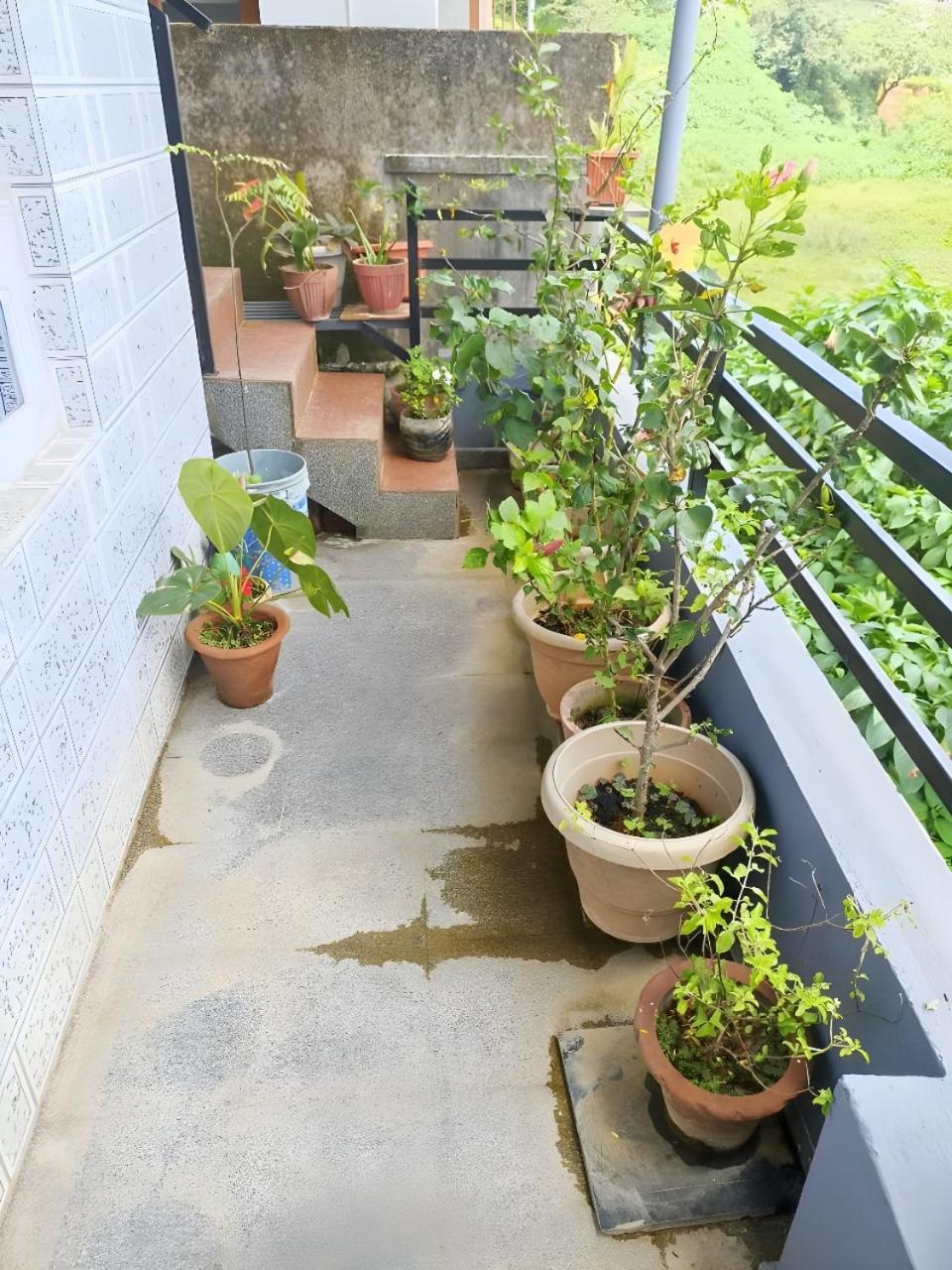Misty Haven Homestay Madikeri Eksteriør bilde